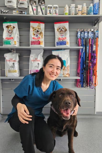 Dr. Yanyan Tan